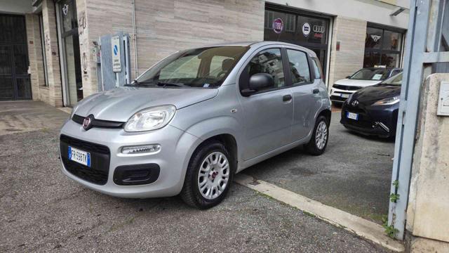 Fiat Panda 1.2 Lounge usato a ROMA