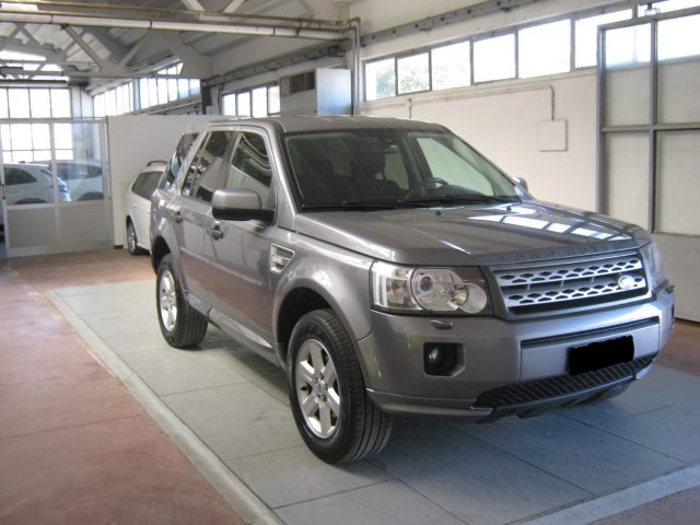 Land Rover Freelander 2.2 SD4 S.W. SE usato a PORTO SAN GIORGIO