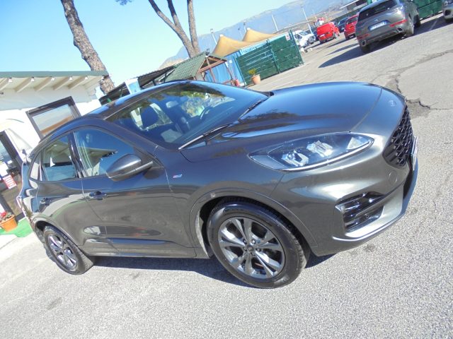 Ford Kuga PROMO 1.5 EcoBlue 120 CV 2WD ST-Line X Automatica usato a GUIDONIA MONTECELIO