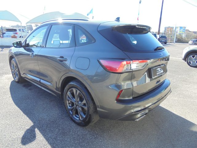 Ford Kuga PROMO-?1000 1.5 EcoBlue 120 CV ST-Lin X Automatica - foto 4 di 49
