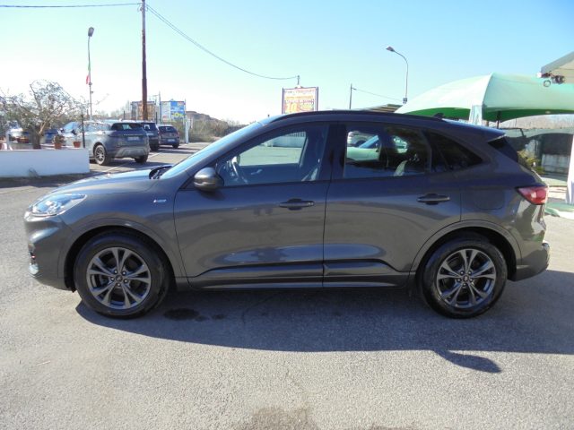 Ford Kuga PROMO-?1000 1.5 EcoBlue 120 CV ST-Lin X Automatica - foto 2 di 49