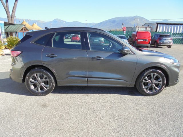 Ford Kuga PROMO-?1000 1.5 EcoBlue 120 CV ST-Lin X Automatica, del 2021, 82.000 km, in vendita a Guidonia Montecelio (RM)