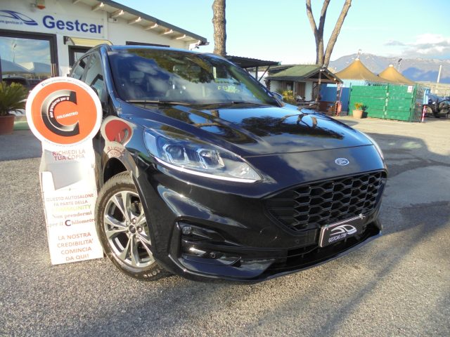 Ford Kuga 2.5 Plug In Hybrid 225 CV CVT 2WD ST-Line usato a GUIDONIA MONTECELIO