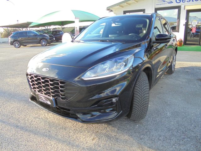 Ford Kuga PROMO 2.5 Plug In Hybrid 225 CV CVT 2WD ST-Line - foto 4 di 4