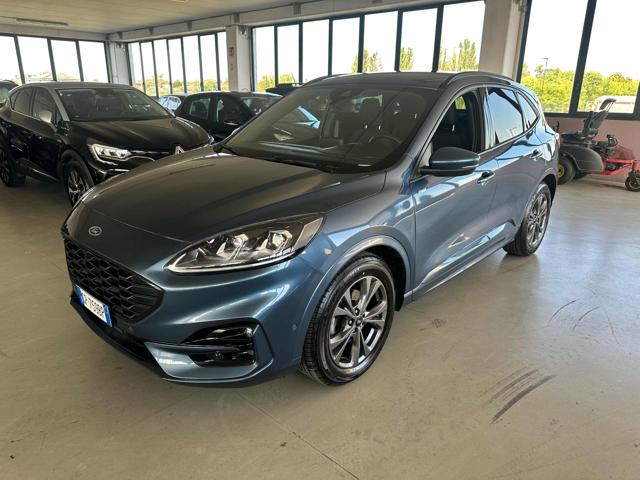 Ford Kuga 2.0 EcoBlue 120 CV aut. 2WD ST-Line usato a NOVELLARA