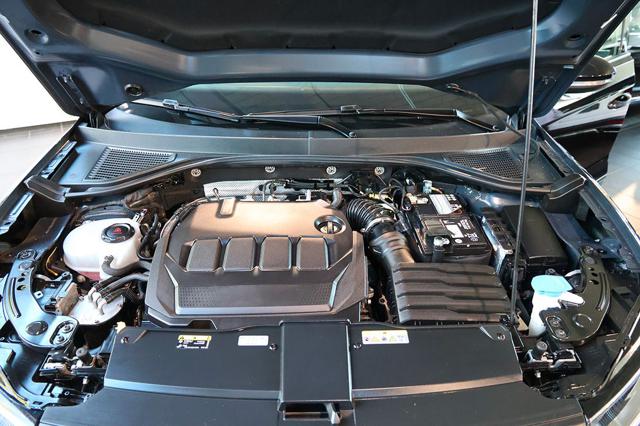 Volkswagen T-Roc 2.0 TDI SCR 150cv DSG 4Motion Style usato a CASTEL MAGGIORE