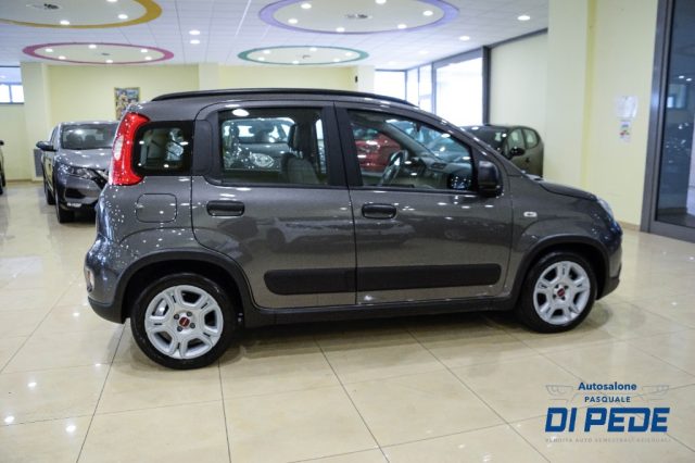 Fiat Panda 1.0 FireFly S&S Hybrid - foto 4 di 4