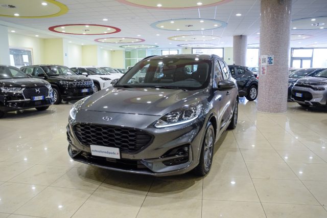 Ford Kuga 1.5 EcoBlue 120 CV 2WD ST-Line, del 2024, 39.873 km, in vendita a Matera (MT)