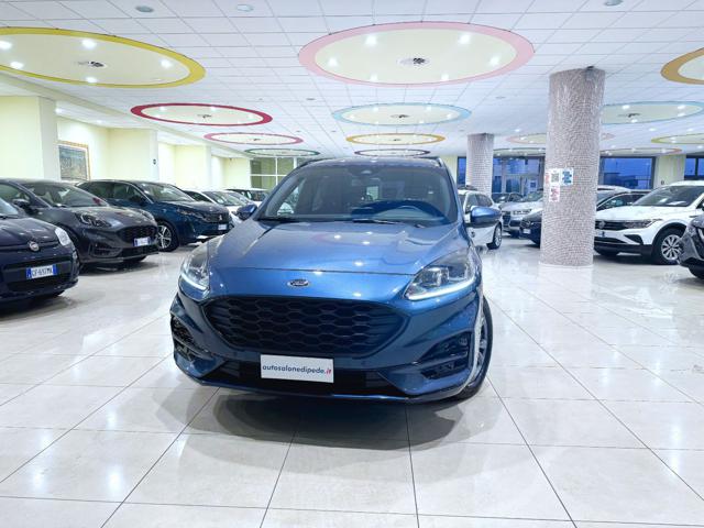 Ford Kuga 2.0 EcoBlue 120 CV aut. 2WD ST-Line usato a MATERA