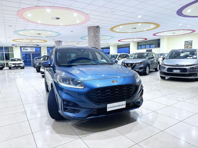 Ford Kuga 2.0 EcoBlue 120 CV aut. 2WD ST-Line - foto 3 di 4