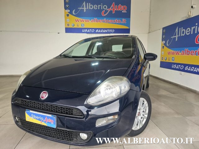 Fiat Punto 1.3 MJT II 75 CV 5 porte Young usato a ADRANO