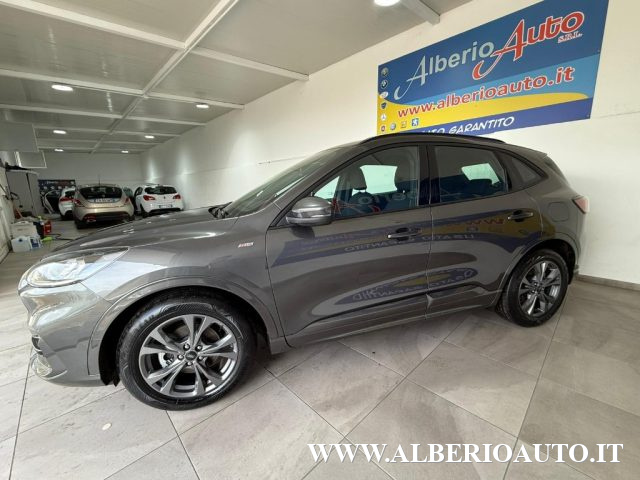 Ford Kuga 2.0 EcoBlue Hybrid 150 CV 2WD ST-Line usato a ADRANO
