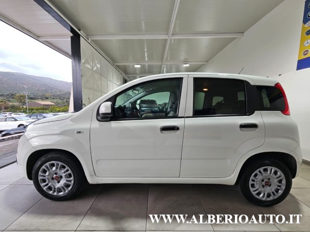 Fiat Panda 1.3 MJT S&S Easy NO CLIMA usato a ADRANO