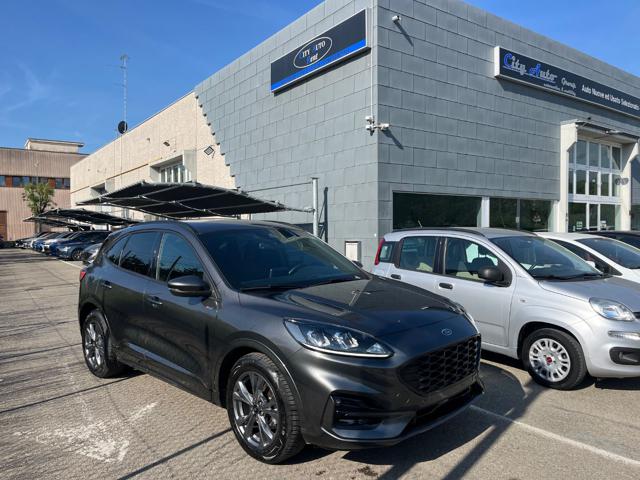 Ford Kuga 2.0 EcoBlue 120 CV aut. ST-Line usato a MODENA