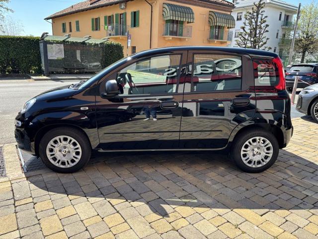 Fiat Pandina 1.0 FireFly 65 CV Hybrid Icon - foto 3 di 4