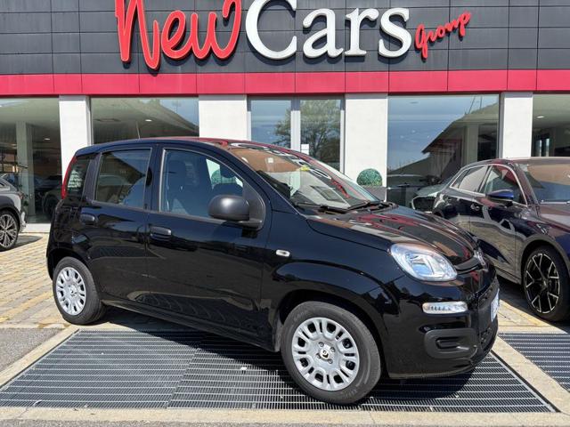 Fiat Pandina 1.0 FireFly 65 CV Hybrid Icon usato a ALBA