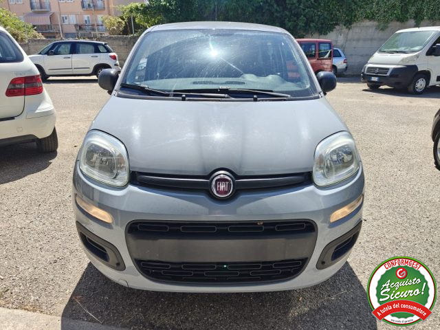 Fiat Panda 1.2 Easy usato a SAN NICOLA MANFREDI