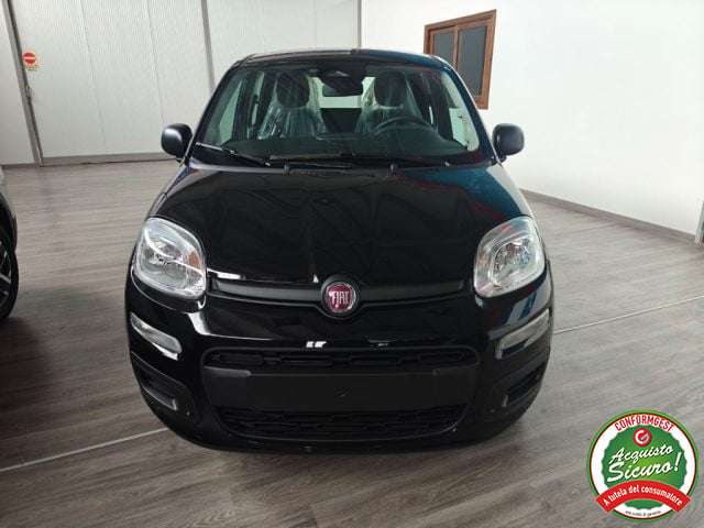 Fiat Pandina 1.0 FireFly 65 CV Hybrid Icon, in vendita a San Nicola Manfredi (BN)