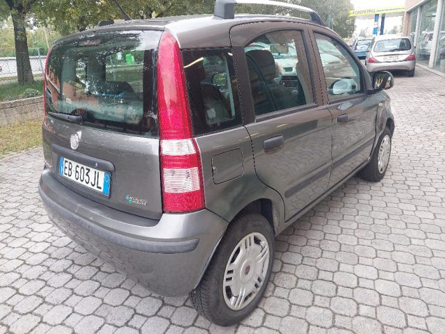 Fiat Panda 1.2 Dynamic Natural Power - foto 3 di 4