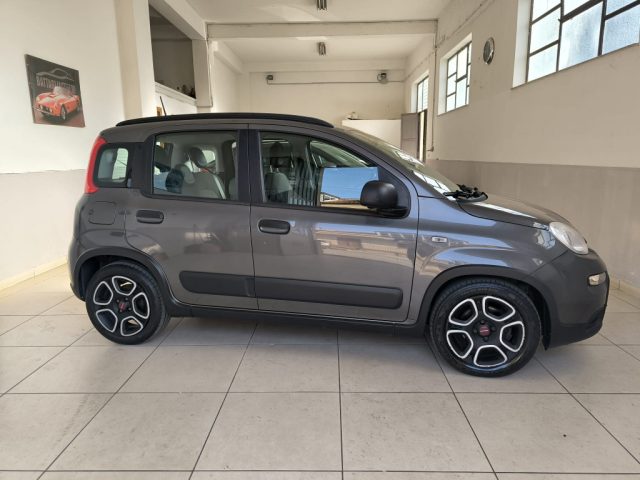 Fiat Panda 1.0 FireFly S&S Hybrid City Life usato a NICOSIA