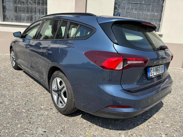 Ford Focus EcoBlue 120CV SW Business - foto 4 di 4