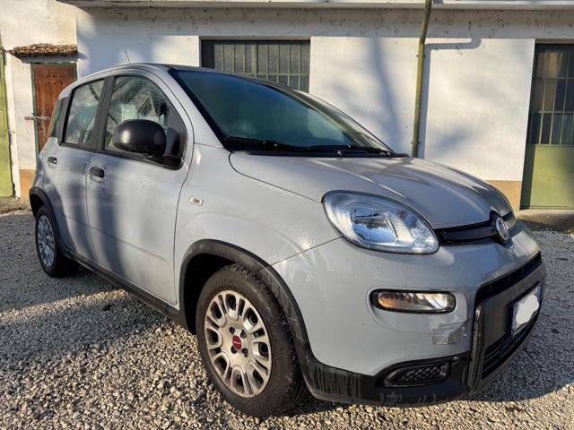 Fiat New Panda IN PROMOZIONE!!!!1.0 FireFly S&S Hybrid - foto 3 di 4