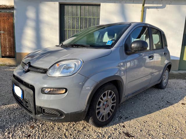 Fiat New Panda IN PROMOZIONE!!!!1.0 FireFly S&S Hybrid usato a PIACENZA