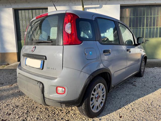 Fiat New Panda IN PROMOZIONE!!!!1.0 FireFly S&S Hybrid - foto 4 di 4