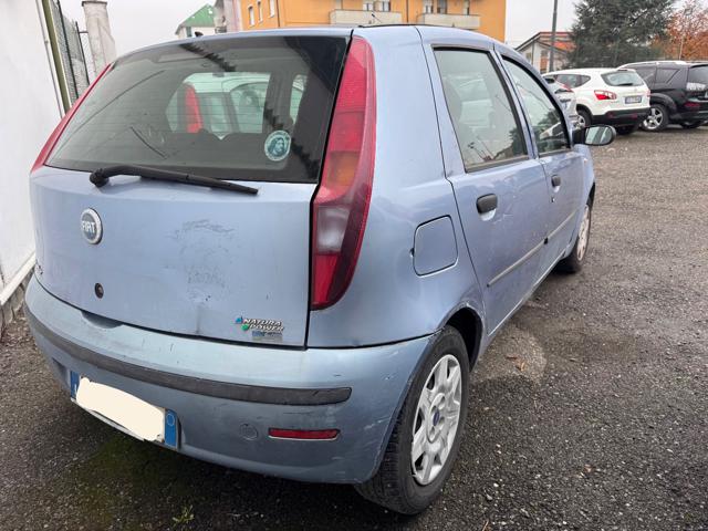 Fiat Punto METANO Classic 1.2 5 porte Natural Power - foto 4 di 4