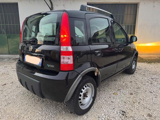 Fiat Panda 1.2 Dynamic Natural Power - foto 4 di 4
