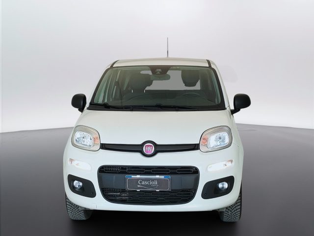 Fiat Panda III 2016 - 0.9 t.air t. natural power Easy 80cv - foto 2 di 4