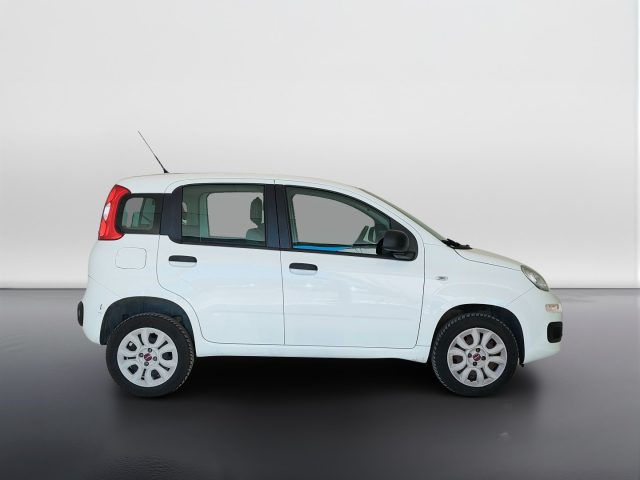 Fiat Panda III 2016 - 0.9 t.air t. natural power Easy 80cv - foto 4 di 4