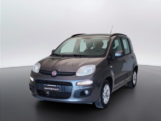 Fiat Panda III 2016 - 1.2 Lounge s&s 69cv my19 usato a MOSCIANO SANT ANGELO