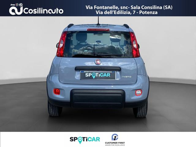 Fiat Panda 1.0 FireFly 69Cv S&S Hybrid City Life - foto 4 di 4