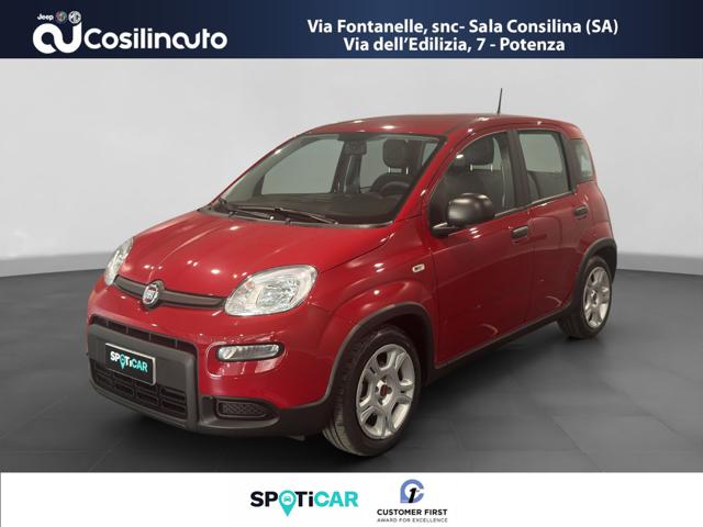Fiat Panda 1.0 FireFly S&S Hybrid City Life MY24 usato a SALA CONSILINA