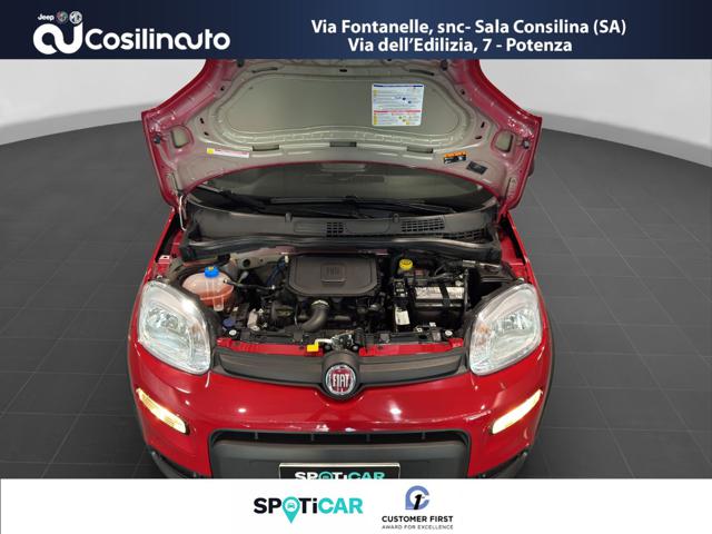 Fiat Panda 1.0 FireFly S&S Hybrid City Life MY24, del 2024, 8.426 km, in vendita a Sala Consilina (SA)