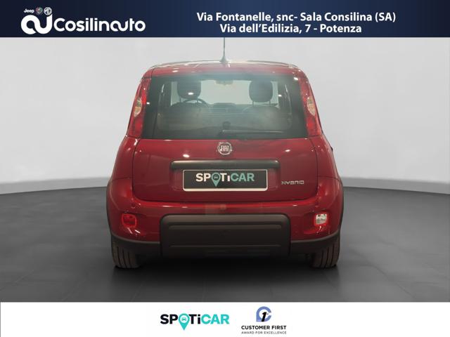 Fiat Panda 1.0 FireFly S&S Hybrid City Life MY24 - foto 4 di 4