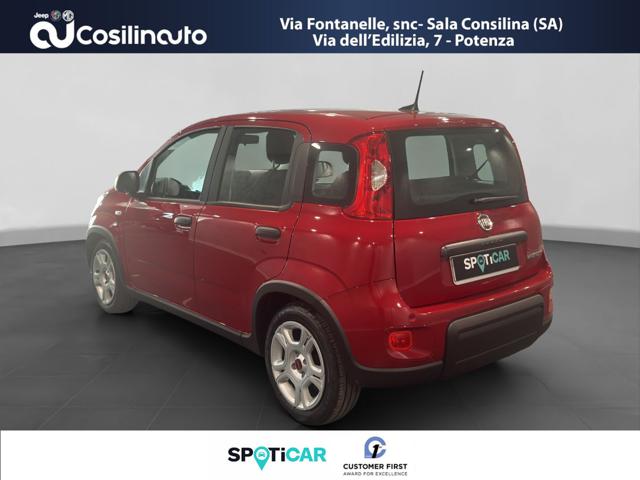 Fiat Panda 1.0 FireFly S&S Hybrid City Life MY24 - foto 3 di 4