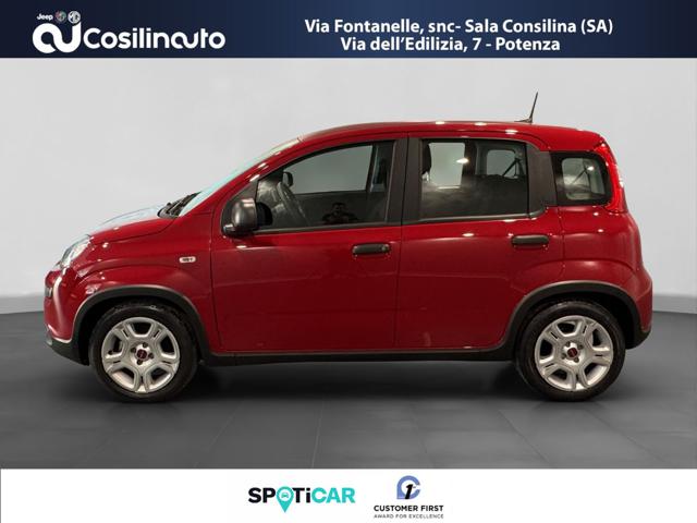 Fiat Panda 1.0 FireFly S&S Hybrid City Life MY24 usato a SALA CONSILINA