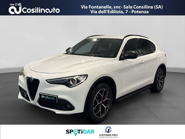 Alfa Romeo Stelvio 2.2 Turbodiesel 190 CV AT8 Q4 Executive - foto 3 di 4