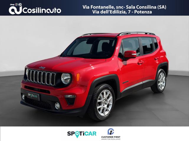 Jeep Renegade 1.6 Mjt 120 CV Business usato a SALA CONSILINA