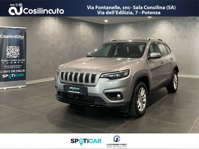 Jeep Cherokee 2.2 Mjt AWD Active Drive I Longitude 195 Cv usato a SALA CONSILINA