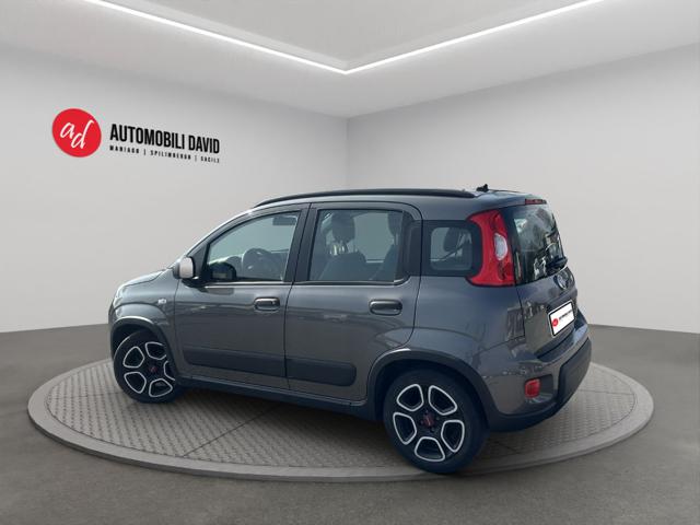 Fiat Panda 1.0 FireFly S&S Hybrid City Life - foto 3 di 4