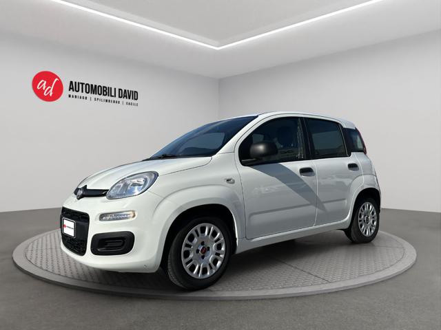 Fiat Panda 1.0 FireFly S&S Hybrid, del 2022, 74.000 km, in vendita a Maniago (PN)