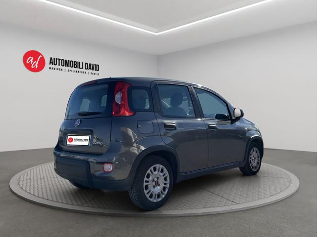 Fiat Panda 1.0 FireFly S&S Hybrid - foto 4 di 4