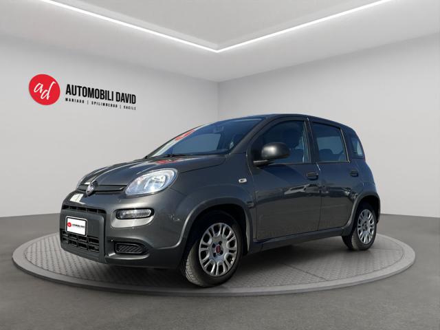 Fiat Panda 1.0 FireFly S&S Hybrid usato a MANIAGO