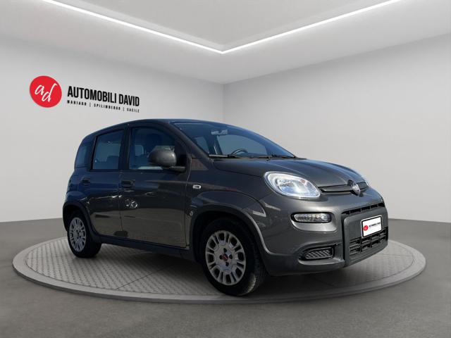 Fiat Panda 1.0 FireFly S&S Hybrid - foto 2 di 4