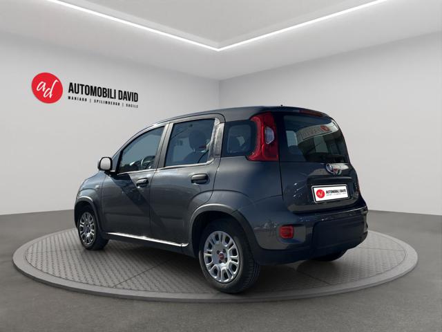 Fiat Panda 1.0 FireFly S&S Hybrid - foto 3 di 4