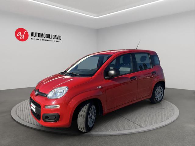 Fiat Panda 1.0 FireFly S&S Hybrid usato a MANIAGO