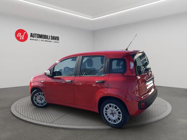 Fiat Panda 1.0 FireFly S&S Hybrid - foto 3 di 4